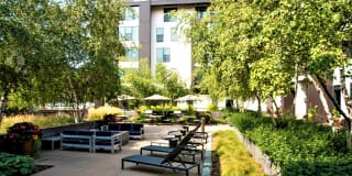 The Murals of LynLake Gallery 4