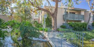 McComber Creek Gallery 33