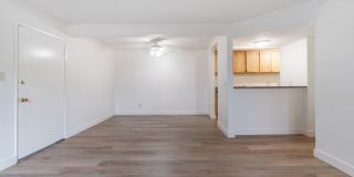 Prospera Village Gallery 1