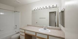 Forest View Gallery 10