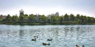 Updated & Furnished 3BR Townhome with Loft & Lake Access Gallery 39