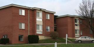 Timberline Gallery 1