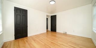 243 Newport Street Gallery 59