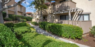 Maplewood Apartment Homes Gallery 7