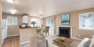 Springfield Gallery 1