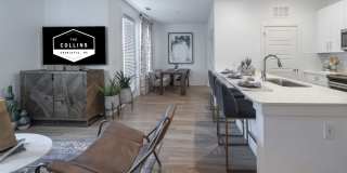 The Collins Gallery 15