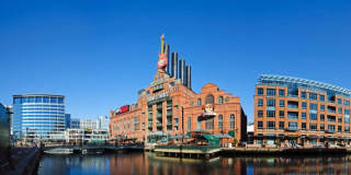 1643 Guilford Avenue Gallery 23