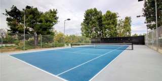 26701 Quail Creek Gallery 23