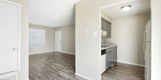 The Midway Gallery 9