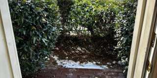 1607 SENECA Avenue Gallery 32