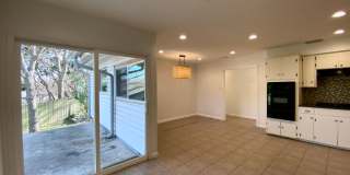 Hidden 4 Bed 2 Bath Gem in South Austin! Gallery 12