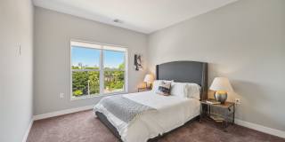 The Ethan Gallery 15