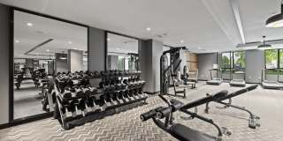 Aster & Links Gallery 69