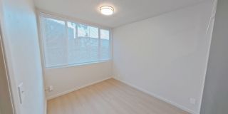 University Manor - Newly Renovated Units just a short walk from Campus! Gallery 182