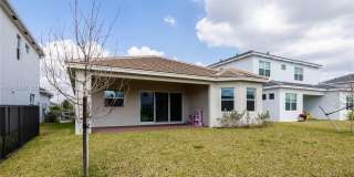 13939 Prickly Cone Cv Gallery 28