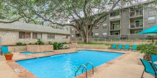 Songbird Apartments Songbird Apartments Gallery 1