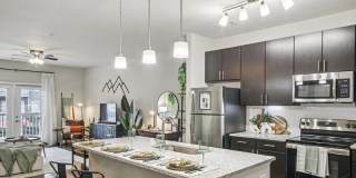 Mosby Poinsett Gallery 4