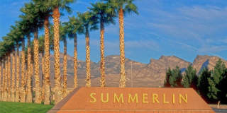 11377 Rancho Villa Verde Place Gallery 40