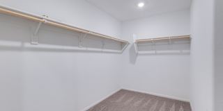 5215 Lissome Lily Court Gallery 26