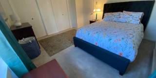 4-Bedroom Student Townhomes in the Heart of Burlington Gallery 10