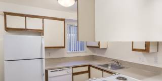 Forest Ridge Gallery 29