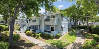 1201 Glen Cove Pkwy Apt 202 Gallery 1