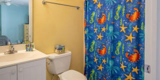 TIME TO SECURE A FURNISHED PROPERTY FOR THE FALL OF '26-SPRING OF '27 Gallery 7