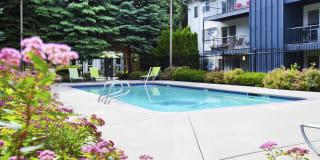 Whimsical Pig Gallery 9