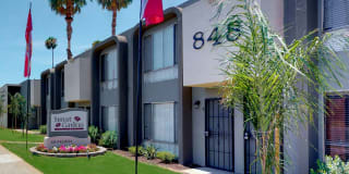 Sunset Gardens Gallery 7