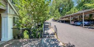 Springbrook Reserve Gallery 9