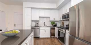 Vineyards Gallery 166