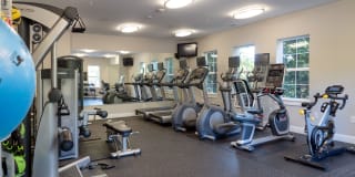 Lux at Stoughton Gallery 17