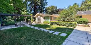 Gorgeous 4 Bedroom PLUS Spacious Bonus Room with Pool in Desired Alamo Neighborhood Available Now! Gallery 45