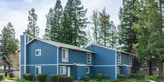 The Grove Luxury Apartments Gallery 43