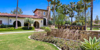 111 Wild Rose Gallery 25