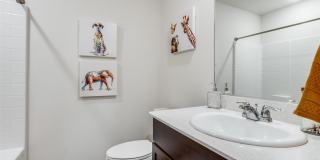 425 Sweet Shade Lane Gallery 7