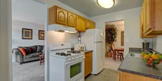 Cinnamon Run at Peppertree Farm Gallery 9