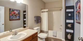 Autumn View Gallery 9