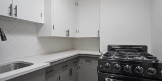 ReNew on Temple ReNew on Temple Gallery 12