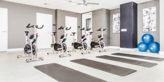 The Palmer Dadeland Gallery 47