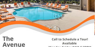 Avenue at San Marcos Gallery 1