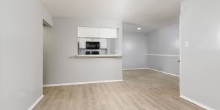 Stoneleigh Apartments Gallery 20