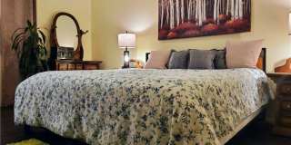 8523 Barberry Gallery 26