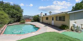 Private pool oasis! Private pool oasis! Gallery 1