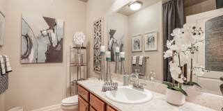 Brewster Commons at River Chase Gallery 8