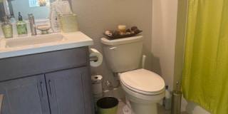 4140 Yucca Bloom Street Gallery 28