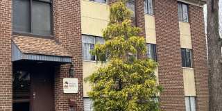 9921-00 BUSTLETON Avenue unit: X7 Gallery 1