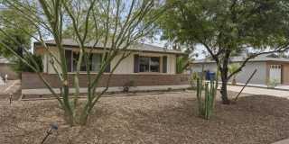 1229 E MANHATTON Drive Gallery 2