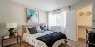 Avana Chandler Gallery 5