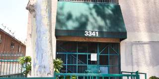 3341 Andrita St 3341 Andrita St Gallery 1
